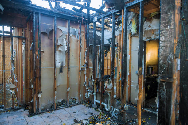 Professional Soot Cleanup technician working in Byrdstown, TN